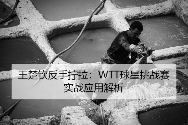 王楚钦反手拧拉：WTT球星挑战赛实战应用解析