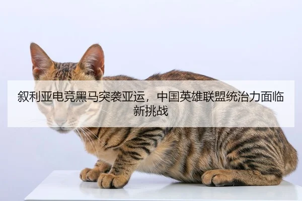 xu-li-ya-dian-jing-hei-ma-tu-xi-ya-yun-zhong-guo-ying-xiong-lian-meng-tong-zhi-li-mian-lin-xin-tiao-zhan-2-495.jpg