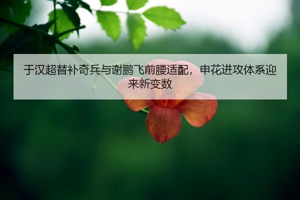 yu-han-chao-ti-bu-qi-bing-yu-xie-peng-fei-qian-yao-shi-pei-shen-hua-jin-gong-ti-xi-ying-lai-xin-bian-shu-2-473.jpg