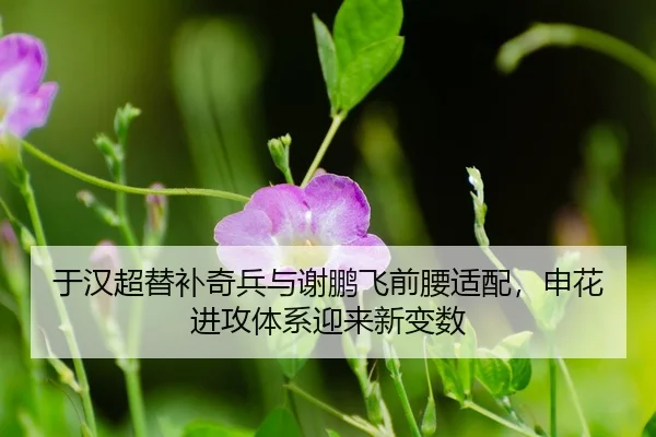yu-han-chao-ti-bu-qi-bing-yu-xie-peng-fei-qian-yao-shi-pei-shen-hua-jin-gong-ti-xi-ying-lai-xin-bian-shu-3-531.jpg