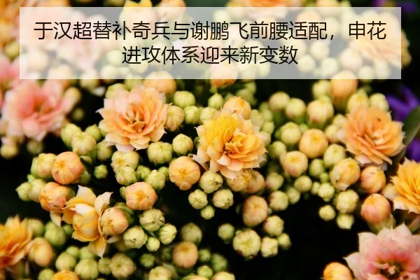 于汉超替补奇兵与谢鹏飞前腰适配，申花进攻体系迎来新变数