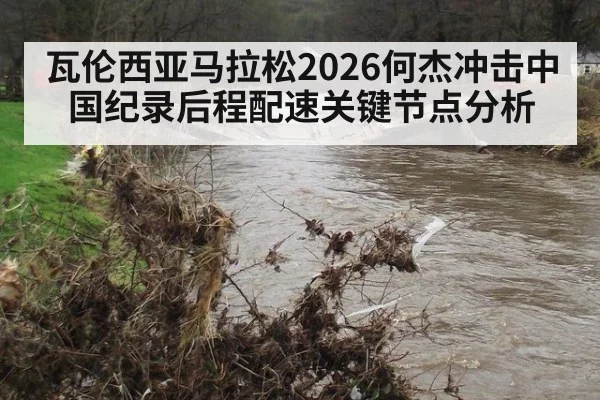 瓦伦西亚马拉松2026何杰冲击中国纪录后程配速关键节点分析